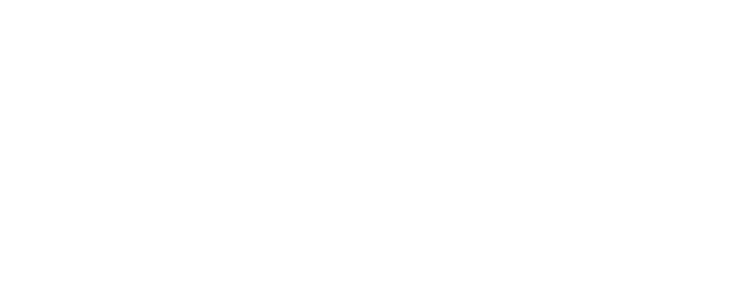 Qliro payment